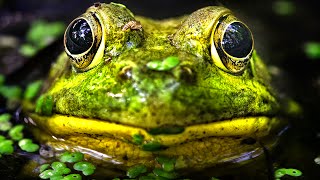 11 Hidden Consequences of Climate Change