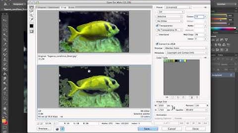 cs6 photoshop web optimize photo