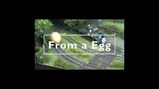From an Egg to Mallard Duck #duck #mallard #mallardduck