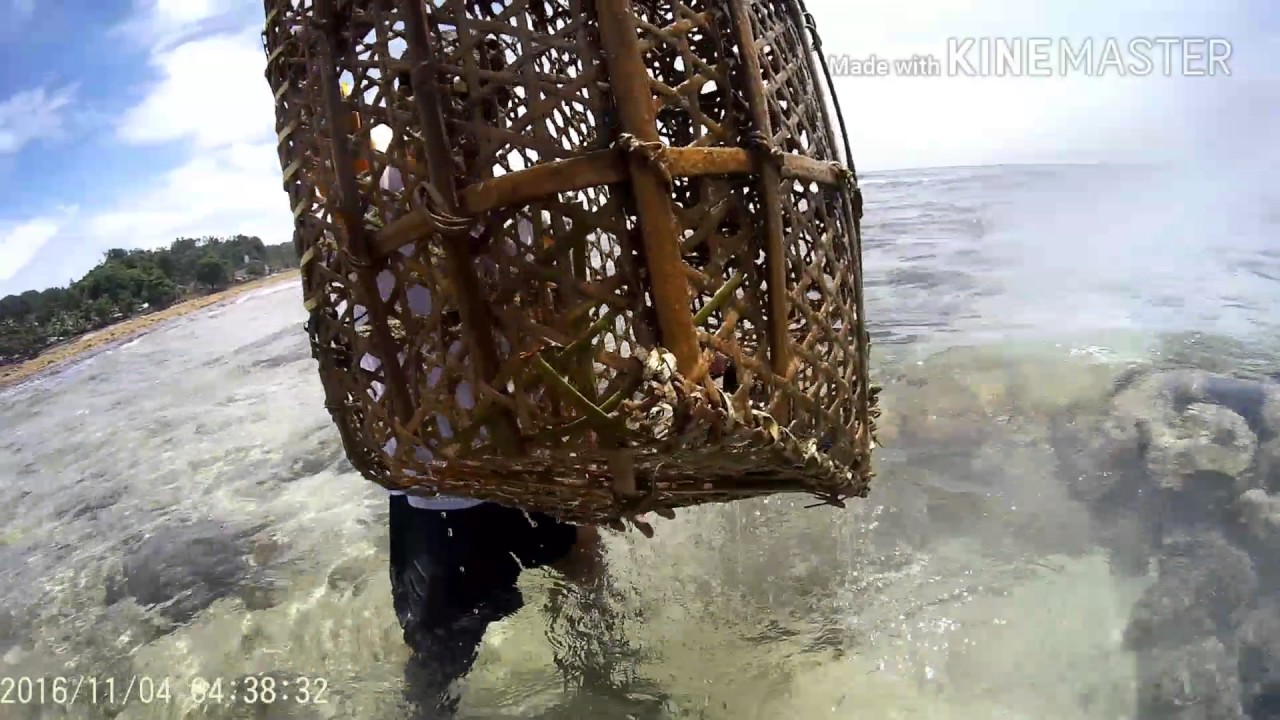 Rindu Negeriku Hutumuri ❤