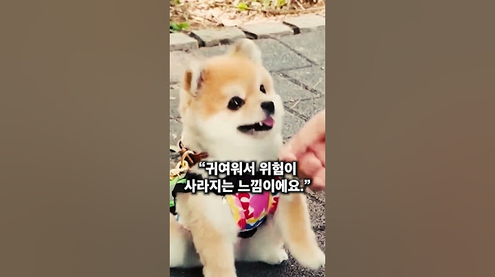 성동구에만 존재한다는 순찰대원