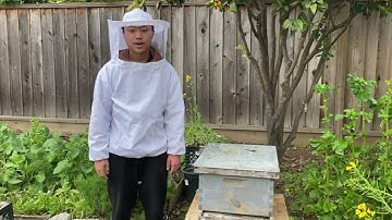 BeeWell: An AI-based Bee Health Assessment System Using Computer Vision and Audio Signal Processing