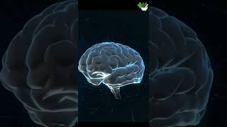 Почему вы просыпаетесь уставшими даже после 8 часов сна?
