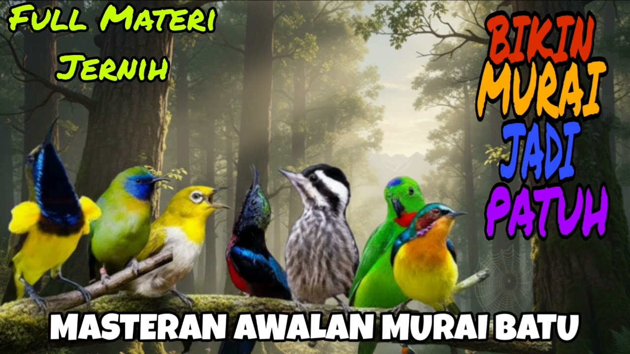 Roll Tipis Burcil | Gurunya TROTOL & PASTOL MURAI 2 Jam Full