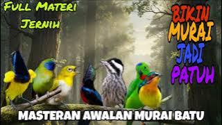 Roll Tipis Burcil | Gurunya TROTOL & PASTOL MURAI 2 Jam Full