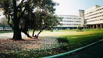 Vibrational Spectroscopy Beyond the Harmonic Approximation