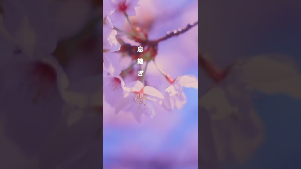 DaisukeNakamura_BIRTH_(LyricVideo)short #chillmusic #中村泰輔