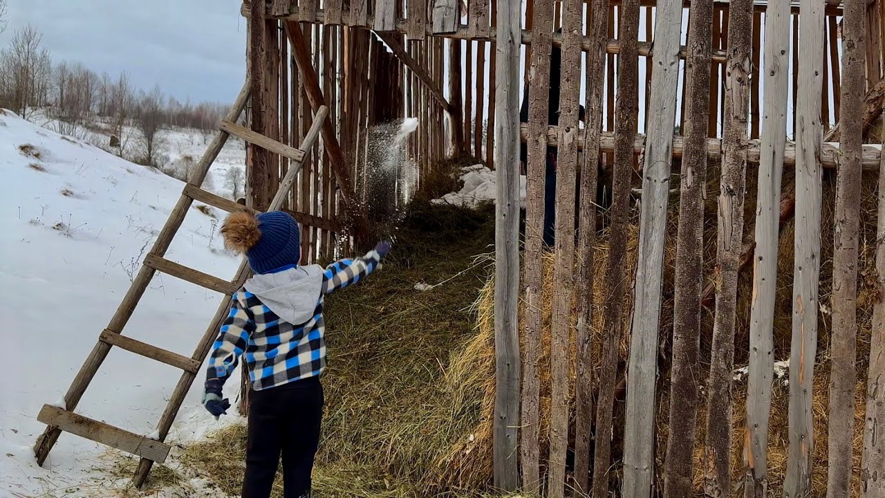 Preparation of SHUBA salad according to an authentic Carpathian recipe|slow life
