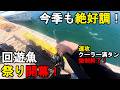 【千葉県某所】今季も絶好調で大爆釣！2026年度回遊魚祭り開幕！梅雨から初夏の時期に、関東地方の房総半島の東京湾に面している、内房の地域にある激戦区の釣り場で釣りをしてみたら…！【2026年7月中旬】