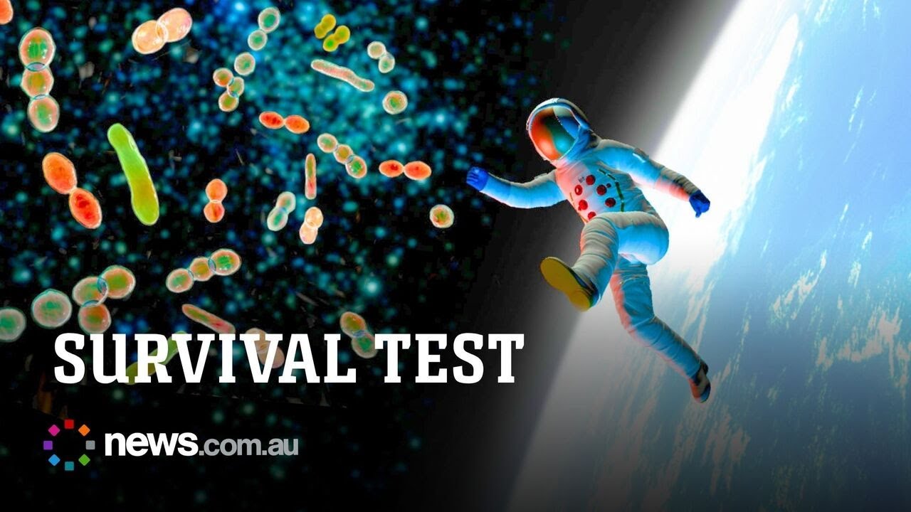 Meet the microbes going to space to answer life’s biggest question