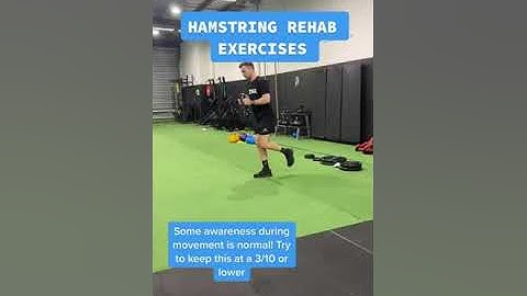 Early stage hamstring rehab exercises #hamstrings #sportsinjury #hamstringexercise #rehab #sports