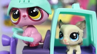 Littlest Pet Shop - Pets In The City - Zwierzakowe Pojazdy - Scooter Skuter - B5042 B3807