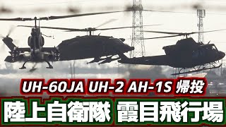 【激レア】霞目ではレアな光景！ UH-60JA UH-2 AH-1S 帰投【2026.2.6 霞目飛行場】