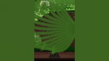 MAXIMUM TEAR DUPES CRAZY COMBO #isaac #repentance #tboi #isaacrepentance #tboirepentance