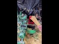 Immersive Makeup