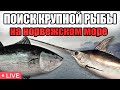 В поисках крупной рыбы на норвежском море рр4