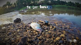 Download lagu Story from the Beginning part 6: The Last Hampala