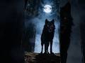 Mira Ash "Werewolf"  #darkpop #musicvideo #music #mysterious #alternativepop