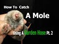 How To Catch A mole Using A Garden Hose Pt. 2 | It&#39;s all Connected | The Hole