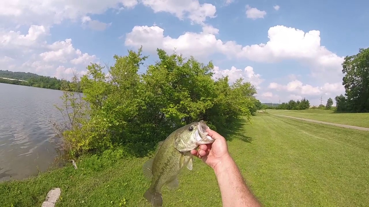 Barber Lake Speed Shad Fishing and Ear Piercing YouTube