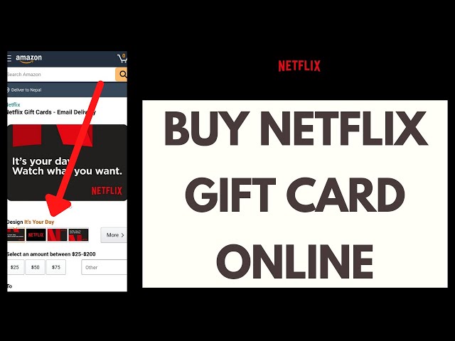 Buy Netflix Gift Card Online  Instant Email  Dundle IN