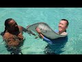 Bora bora french polynesia  swimming and interacting with sting rays 2023 oct 02