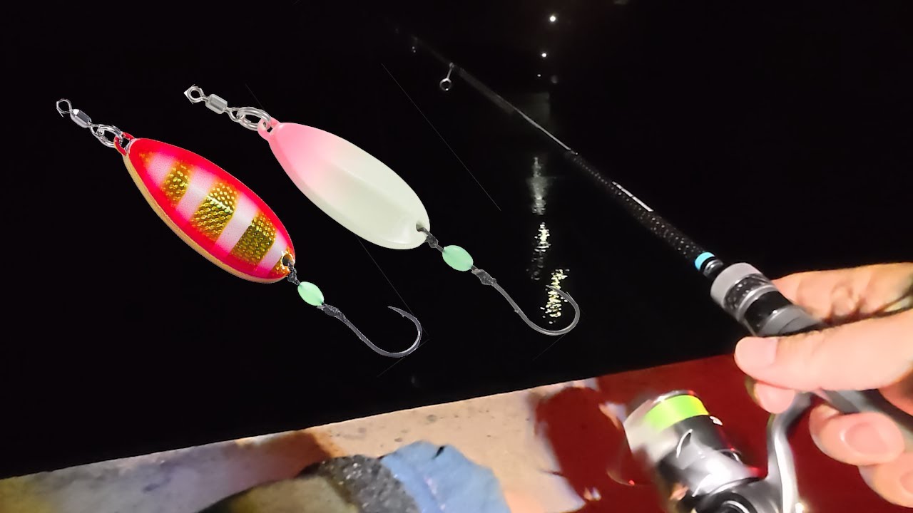 夜釣りで何が釣れる？本命はメバル！本気の釣り場検証【ブラクリスイマー】