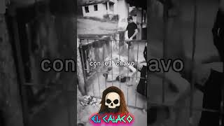trolebus -barata y descontón #humor #viealreels #parati