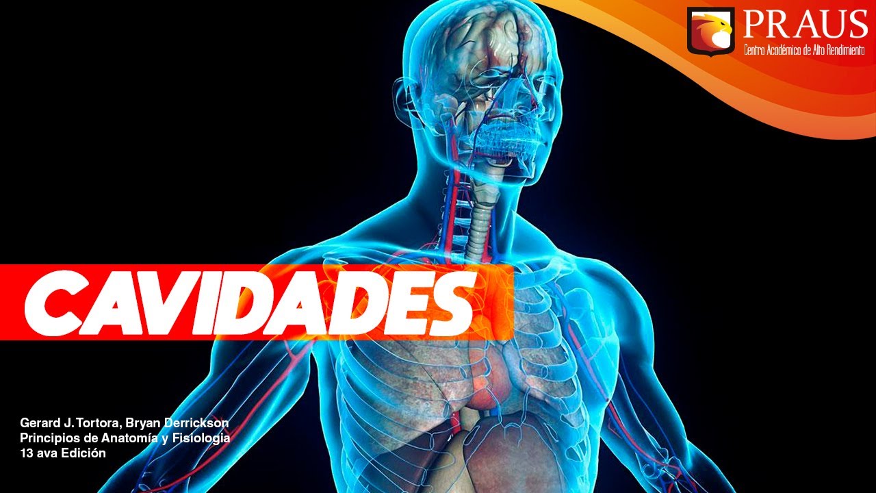CAVIDADES CORPORALES