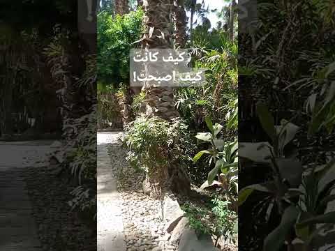 حديقه النباتات العجيبه النادره بقصر البرنس محمد علي كيف اصبحت الان