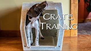How To Crate Train Your New Puppy  Step 2