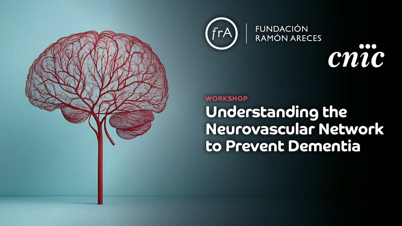 Understanding the Neurovascular Network to Prevent Dementia