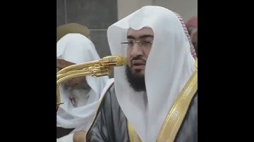 سورة الكافرون يترنّم بها الشيخ #بندر_بليلة