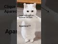 Apareceu??