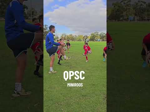 Miniroos Development Program