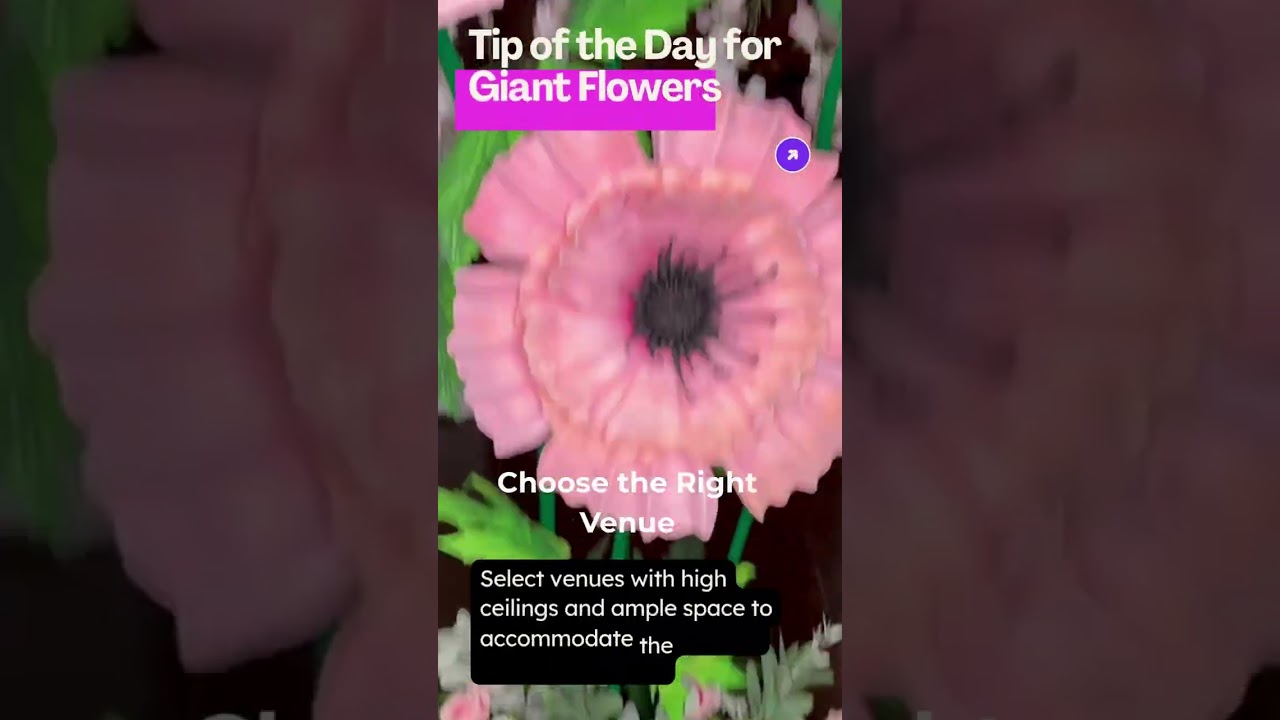 “From Box → Blooms in 30 Seconds”