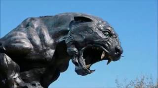 Thomas Davis highlights