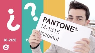 Todo lo que no sabías sobre Pantone