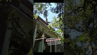 ELMHURST MEMORIAL HALL: to honor the residents of who served their country in World War (05-26-25)