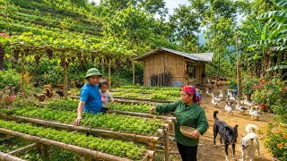 Building a traditional bamboo vegetable garden harvesting bananas and making banana cake