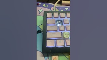 Decorating my keyborad part 4, q #cat #keycaps #keyborad #cute