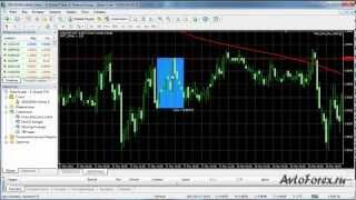 Советник к индикаторной стратегии Forex Blue Box Советник к индикаторной стратегии Forex Blue Box