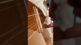 Özkan ÇETİN-Mihriban(enstrüman) Resimi