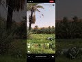 تزوج زوجة اخوه المتوفي فماذا حدث بعد ذالك