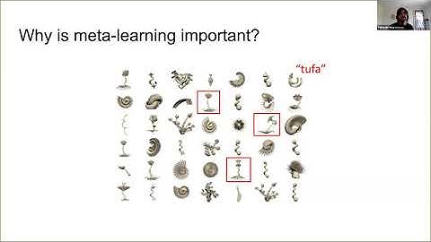 Overview of the Telluride 2020 Challenge Projects