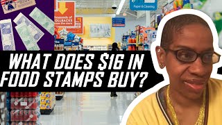 Budget Shop AND Plan Meals To Stretch $16 A Month In Food Stamps