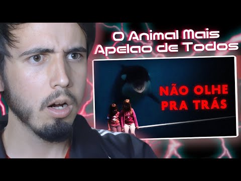 O ANIMAL MAIS BIZARRO DO MAR | React Fyori