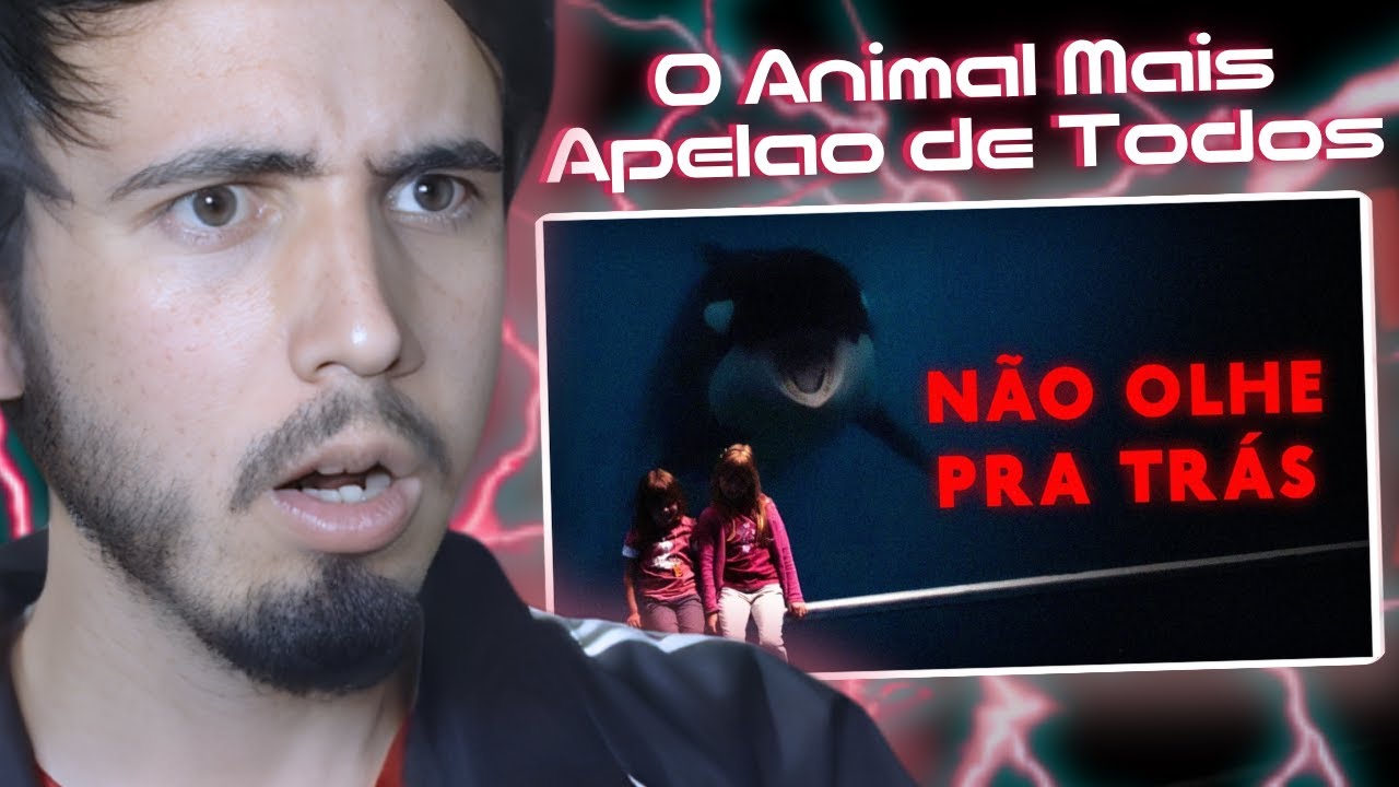 O ANIMAL MAIS BIZARRO DO MAR | React Fyori