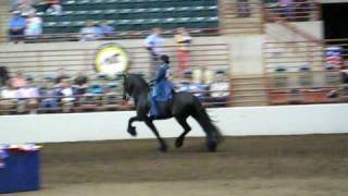 4-4-09 The last Friesian Class at ProAm   MVI 0266