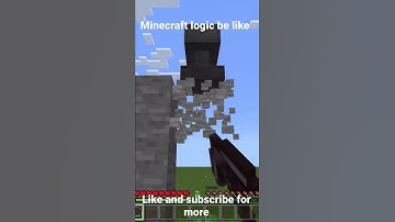 Minecraft logic be like (1.19 edition)